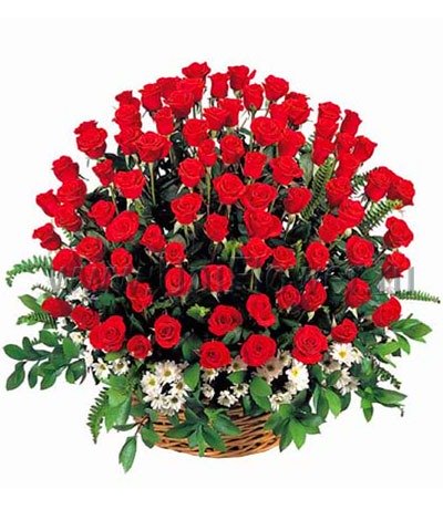 Корзина 101 роза «Триумф»