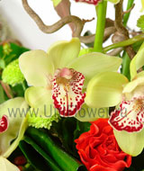 Скажи это цветами